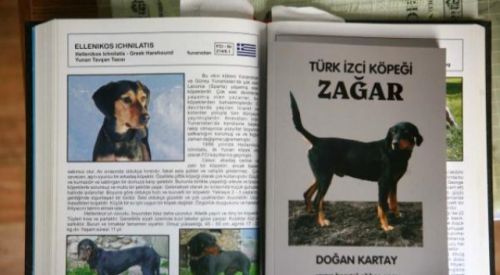 Yunanistan'a 'Zağar' Köpeği Tepkisi