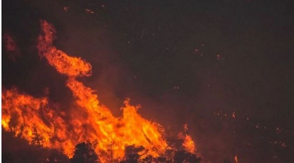 Yunanistan'ın Zakinthos Adası'nda orman yangını çıktı
