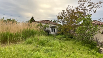 Arsa temizliği için süre uzatıldı: Son tarih 15 Haziran