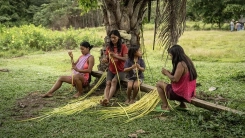 Amazon Ormanları'nın koruyucu kabilesi: Waoraniler