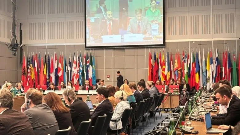 İnsan hakları savunucularına yönelik tehditler AGİT’te tartışıldı