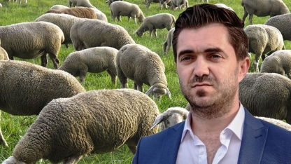  Kurban Bayramı öncesi hayvan pazarları bu yıl kurulmayacak!