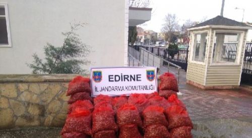 Yunanistan'a Çıkarılmak İstenen 2.5 Ton Midye Ele Geçirildi