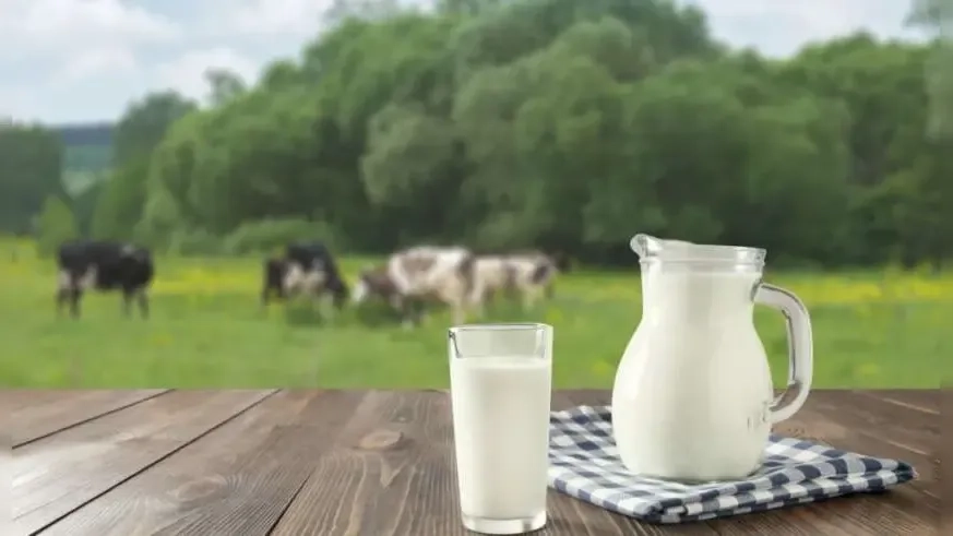  Süt üreticileri azalıyor, fiyatlar düşüyor