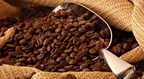 Kafein Panik Atağı Tetikliyor