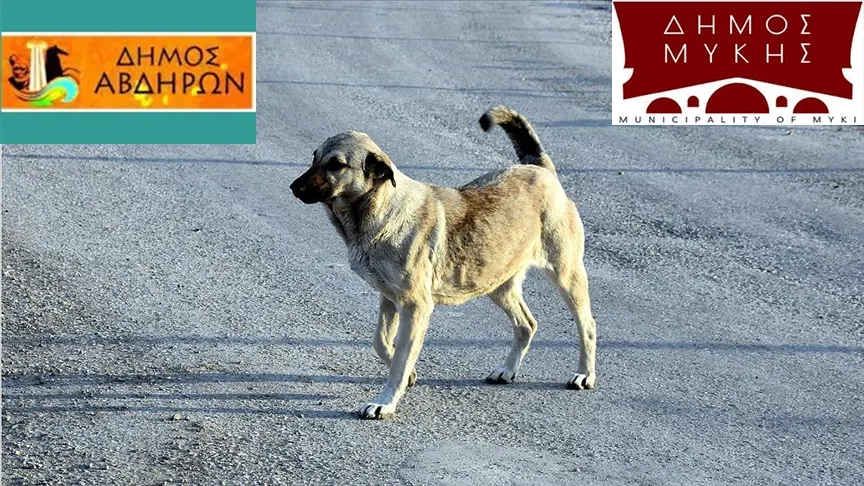 Mustafçova ve Bulustra belediyelerinde sahipsiz köpekler konusunda eksiklikler büyük