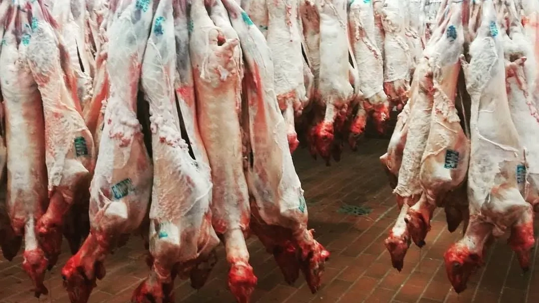 Gümülcine ve Şapçı mezbahaları kapatıldı