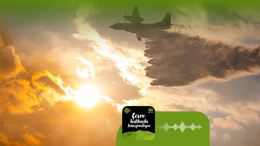 İklim krizi orman yangınlarına yol açıyor mu?