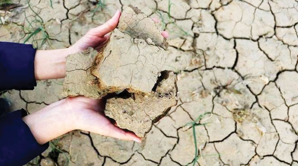 Batı Trakya, kuraklık tehlikesiyle karşı karşıya