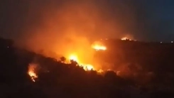 Taşoz Adası’ndaki büyük orman yangını, zeytinlikleri ve arı kovanlarını küle çevirdi