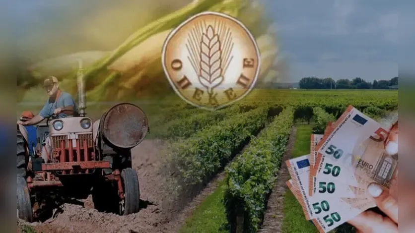 OPEKEPE skandalında halkın yüzde 93'ü siyasi sorumluluk görüyor