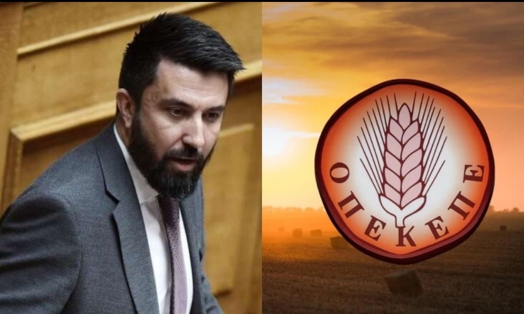 Özgür Ferhat: “OPEKEPE skandalıyla ilgili ulusal şeffaflık kurumu sessiz, siyasi bağlantılar karanlık”