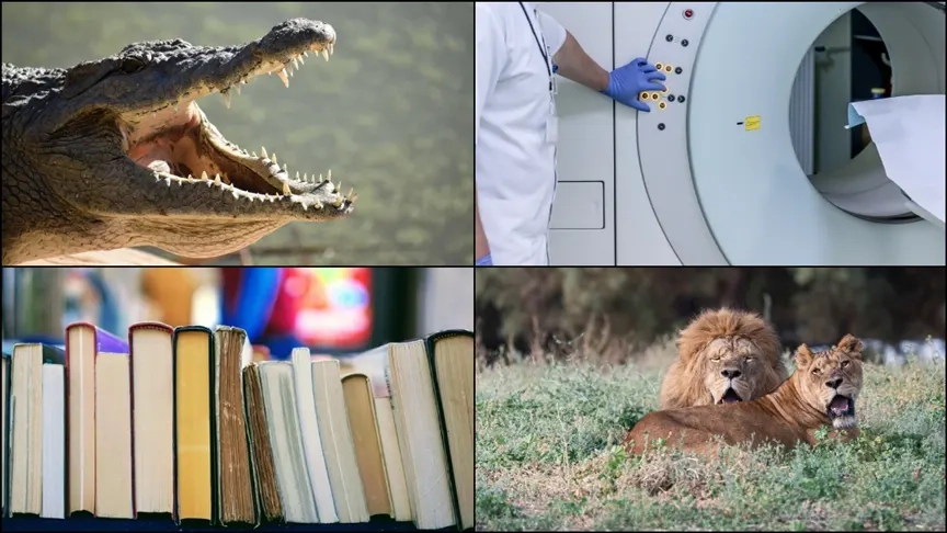 Dünyada temmuz ayında birçok sıra dışı ve tuhaf olay basına yansıdı