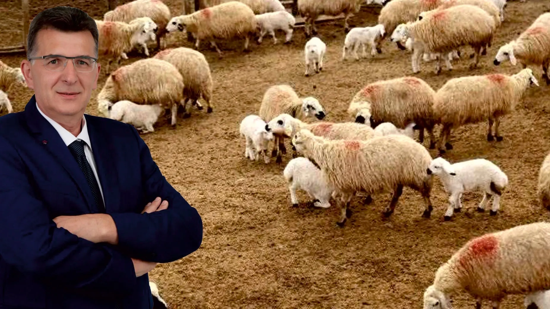 Milletvekili Baran'ın sorusuna Tarım Bakanlığı'ndan yanıt geldi