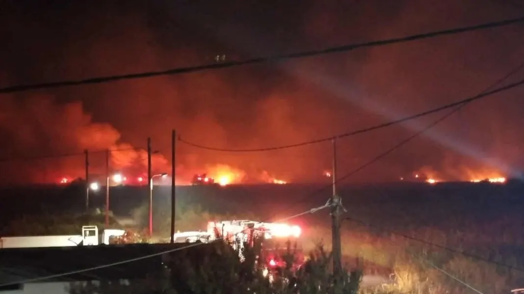 İskeçe, Taşöz ve Paşalima'nında çıkan yangınlar söndürüldü