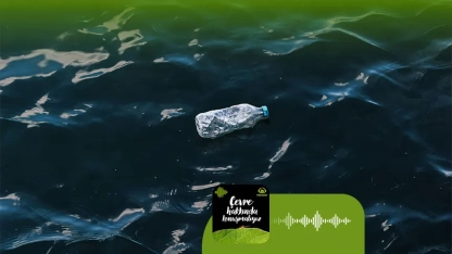 Podcast | Denizlerdeki kirlilik, yediğimiz balıklara geçiyor mu?