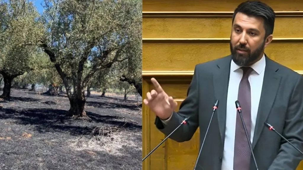 Özgür Ferhat zarar gören zeytin üreticileri soru önergesi sundu