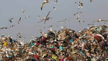 Avrupa Birliği'nden Yunanistan'a 5,5 milyon euro ceza