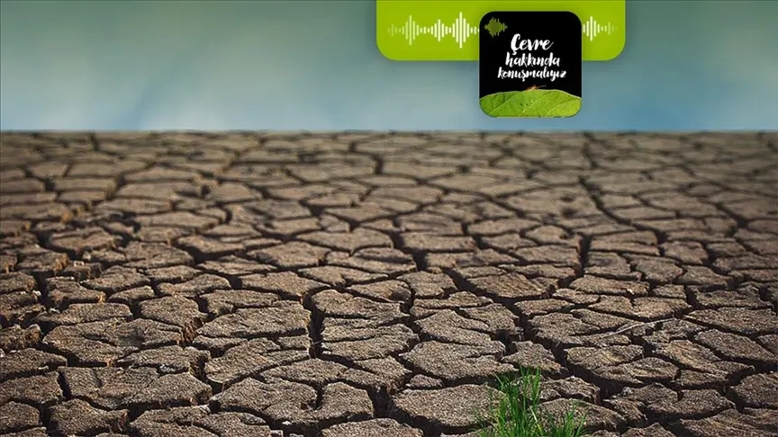 Podcast | İklim krizinde israf ne kadar etkili?