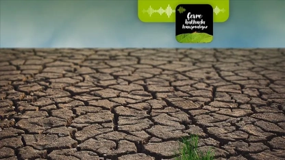 Podcast | İklim krizinde israf ne kadar etkili?
