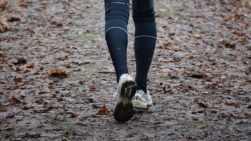 Bilimsel araştırma: Uzun yürüyüşler daha sağlıklı