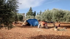 Yunanistan, tarım işçi vizelerini uzattı: Kaçak göçmenlere çalışma izni yok!