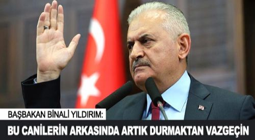 Bu canilerin arkasında artık durmaktan vazgeçin