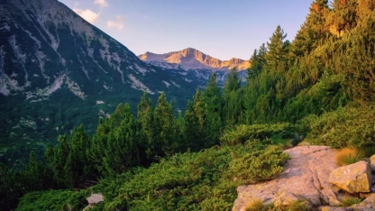 17 yıl önce kaybolan Bulgar vatandaşı canlı bulundu