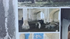 Ermeni işgalinde ahır olarak kullanılan Cuma Mescidi yeniden ibadete açıldı