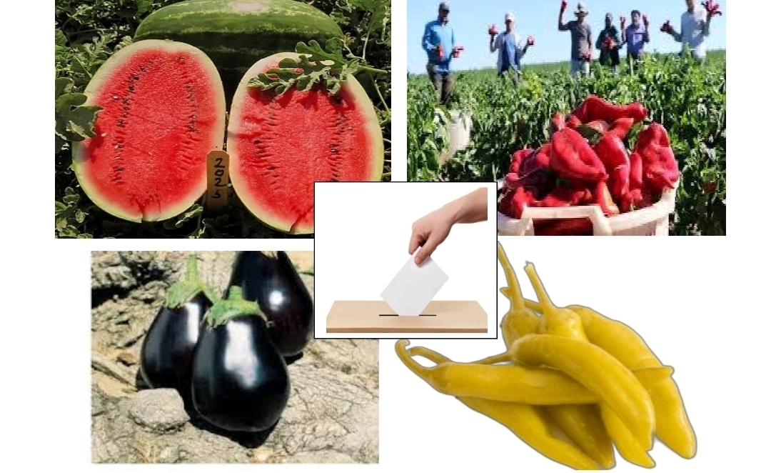 Trakya Tarım Kooperatifi Genel Kurulu 16 Kasım’da