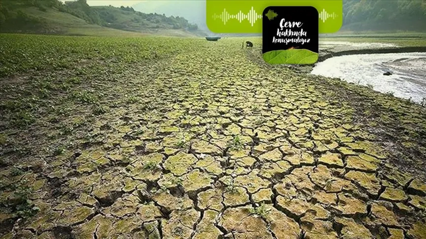 Podcast | İklim zirvelerinden umut kesiliyor mu?