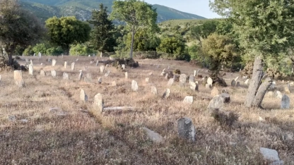Batı Trakya’da Türk köyünde mezarlık temizleyen soydaşlara soruşturma