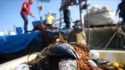 Balık Yok: Akdeniz ve Karadeniz’de aşırı avcılık alarm veriyor