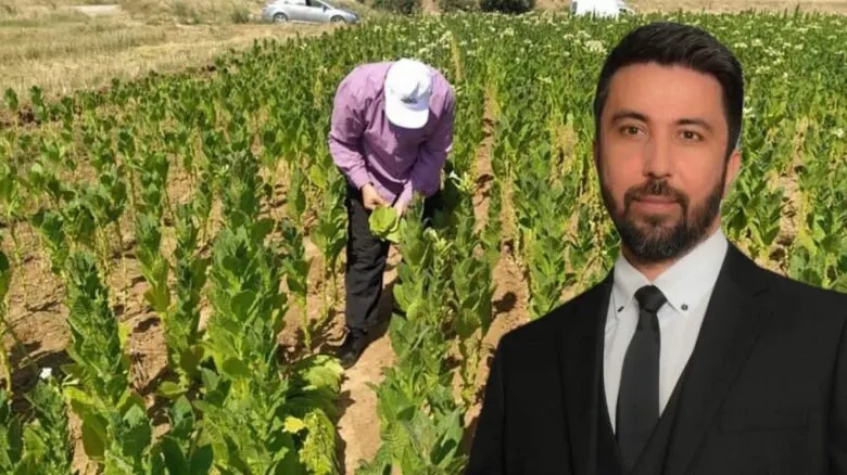 Ferhat’tan OPEKEPE’ye sert eleştiri: “Bu siyasi gidişata dur demeliyiz”