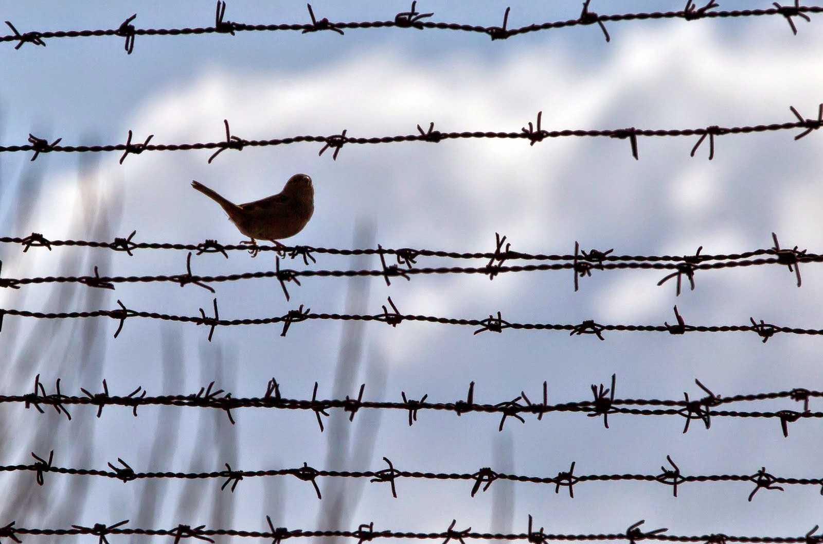 Γιατί η μειονοτική εκπαίδευση είναι καταδικασμένη σε αποτυχία;