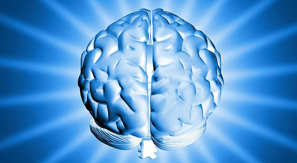 Aşırı kilo beyni de etkiliyor