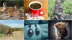 2025’te dünyayı şaşkına çeviren tuhaf olaylar manşetlere taşındı