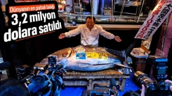 Japonya’da mavi yüzgeçli orkinos 3,2 milyon dolara satıldı