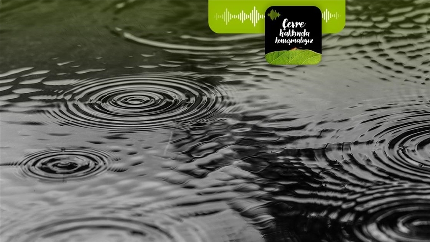 Podcast | Yağmur suyu hasadı iklim krizinde yeni çare mi?