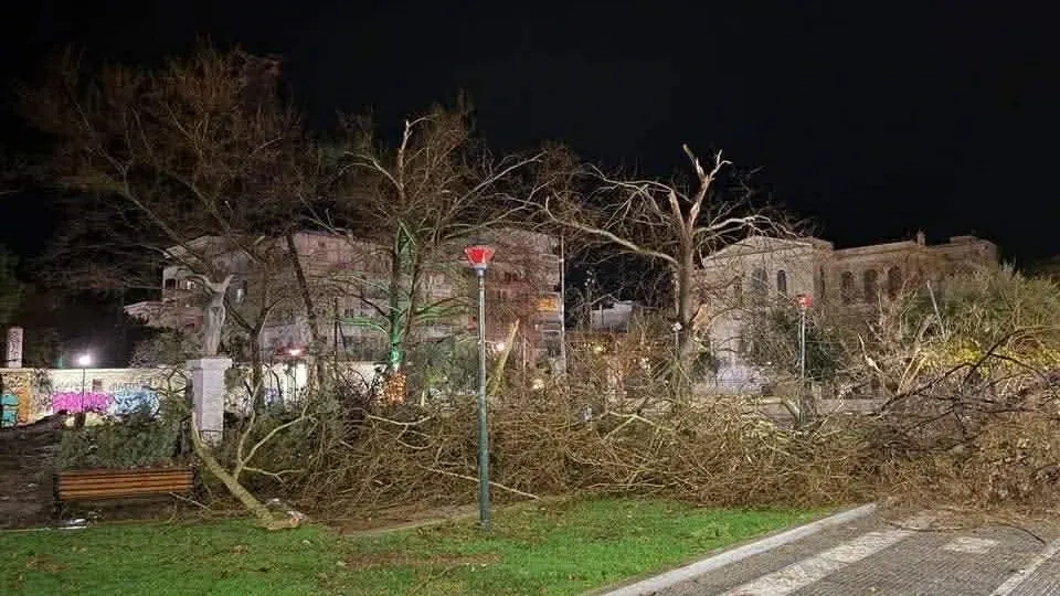 Dedeağaç’ta şiddetli rüzgar sonrası olağanüstü hal ilan edildi