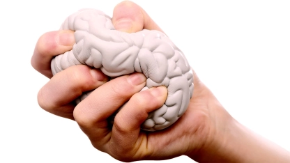 Kronik strese dikkat: Beyni küçültüyor, hafızayı zayıflatıyor