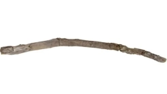 Yunanistan’da 430 bin yıllık ahşap değnek keşfedildi