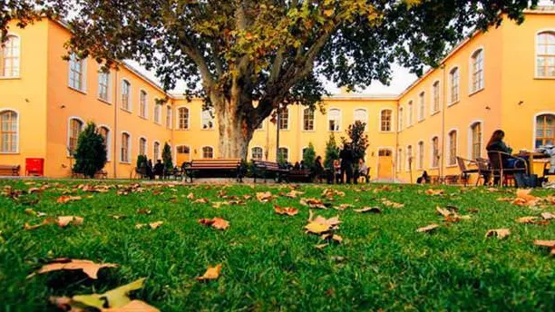 Uluslararası öğrenciler Türkiye’yi kalite ve kültür için tercih ediyor