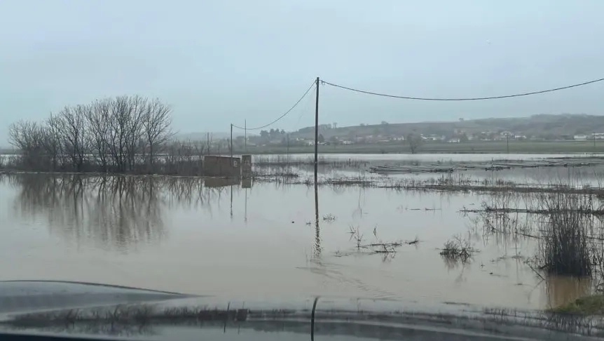 Meriç’te yeni taşkın alarmı: Su seviyesi kritik seviyede