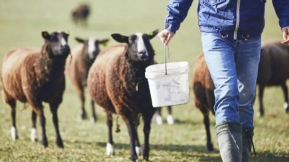 Batı Trakya'da çiçek hastalığı alarmı! İskeçe ve Gümülcine'de yeniden vakalar