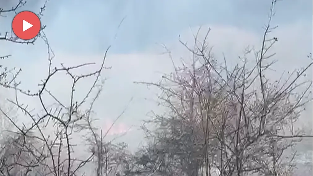 İskeçe’de yangın: Ketenlik yakınlarında alevler köylülerin müdahalesiyle kontrol altına alındı