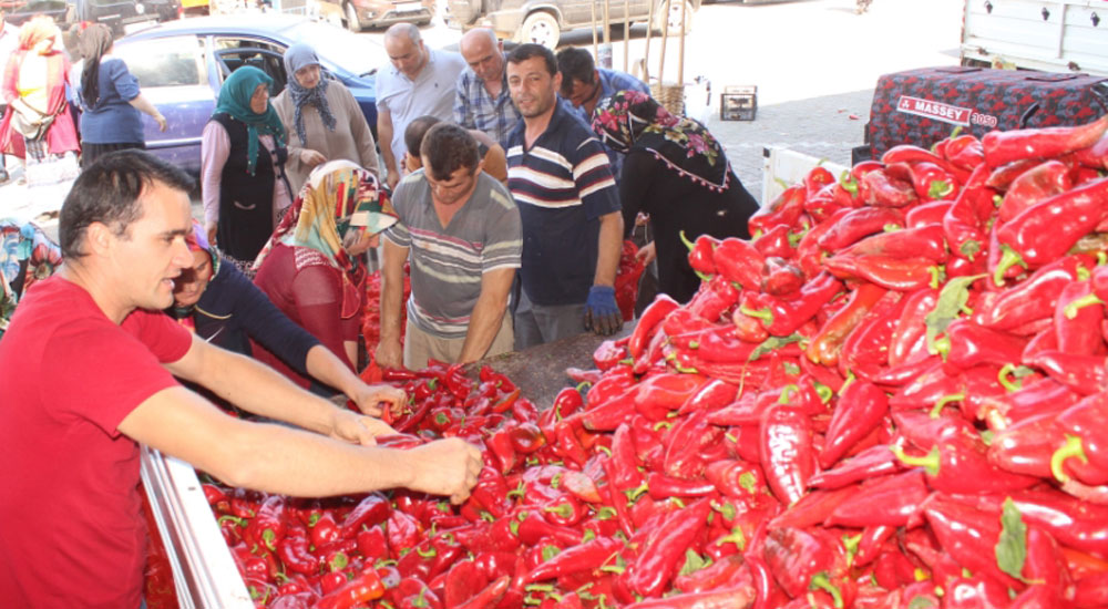 İskeçe ova bölgesindeki çifçtilerimiz sıkıntılı günler yaşıyor