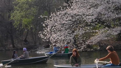 Mart 2026, dünyada kayıtlardaki en sıcak dördüncü mart ayı oldu