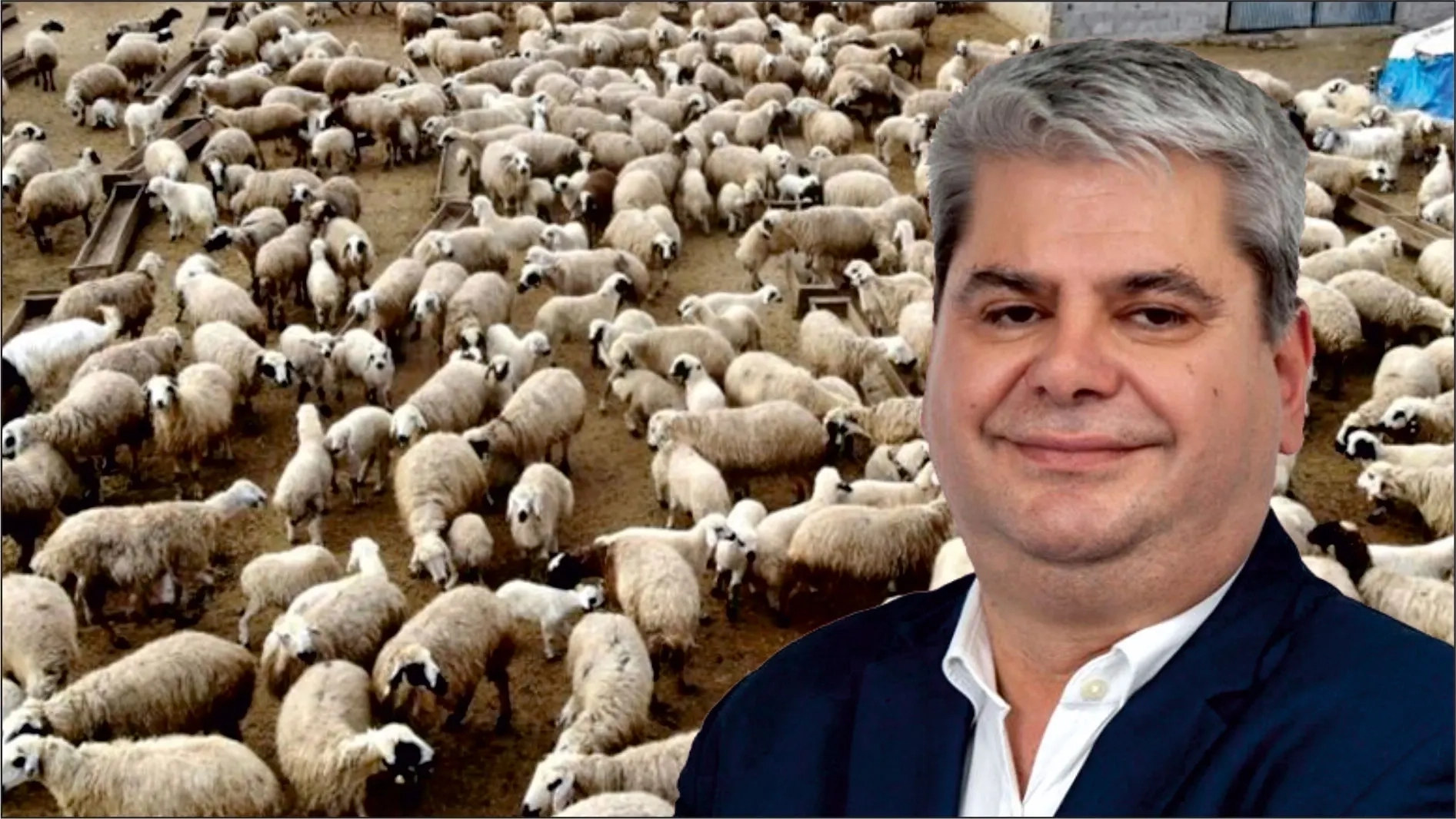 Zeybek’ten hayvan varlığı verilerine tepki: “Rakamlar arasında büyük uçurum var”