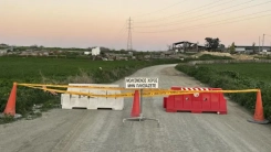 Alarm büyüyor! Midilli’de şap salgını yayılıyor: Onlarca işletme pozitif